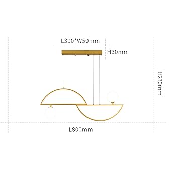 ZALix Modern LED Pendant Lamp, 48W Dimmable Ring Chandelier